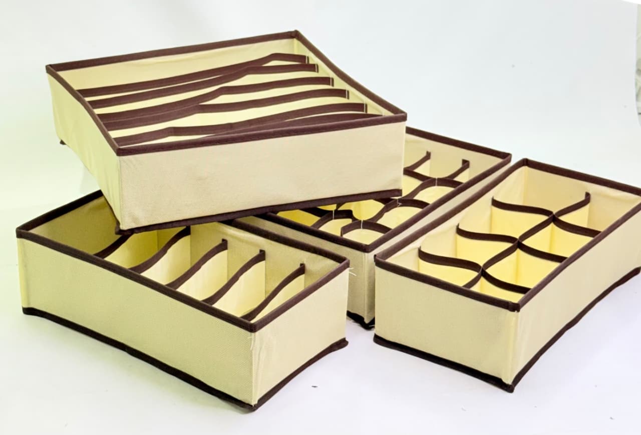 KIT DE ORGANIZADOR DE ROPA INTERIOR X4 PLEGABLES